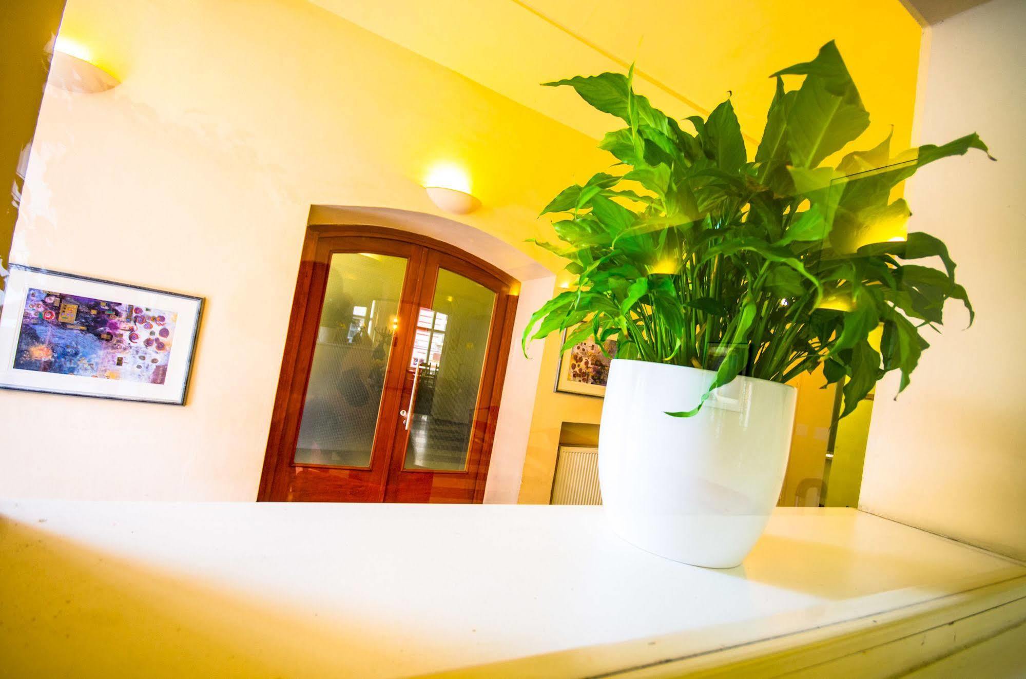 Hotel Adler - Czech Leading 4*